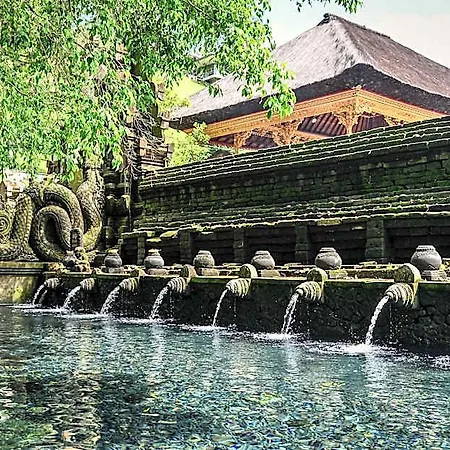 Tiny Eco Bamboo Ubud