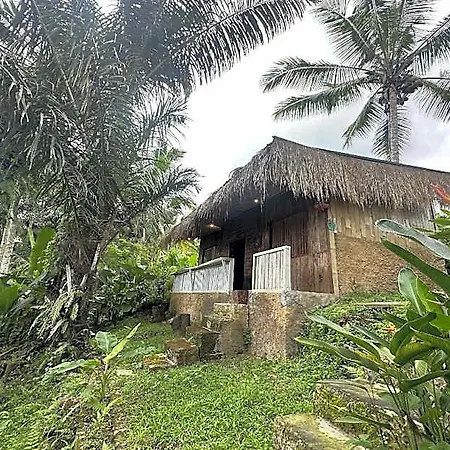 Tiny Eco Bamboo Ubud