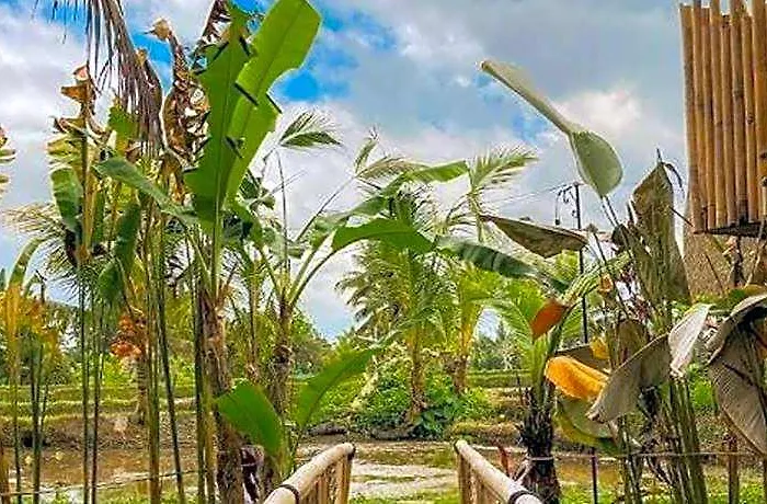 Tiny Eco Bamboo Ubud *