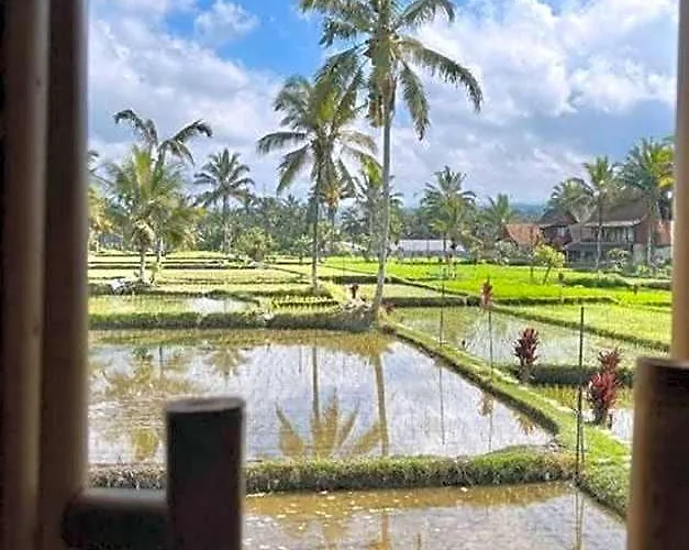 Tiny Eco Bamboo Ubud * Sebatu (Bali)