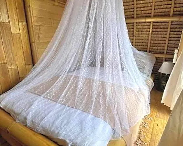 Tiny Eco Bamboo Ubud Camping