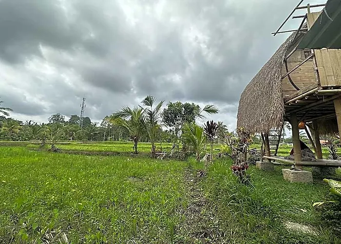 Tiny Eco Bamboo Ubud * Sebatu (Bali)