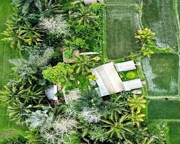 Tiny Eco Bamboo Ubud キャンプ場 Sebatu (Bali)