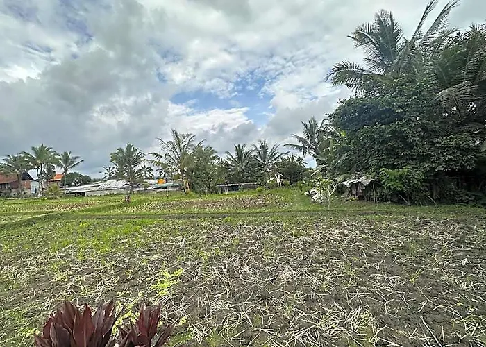 Tiny Eco Bamboo Ubud *