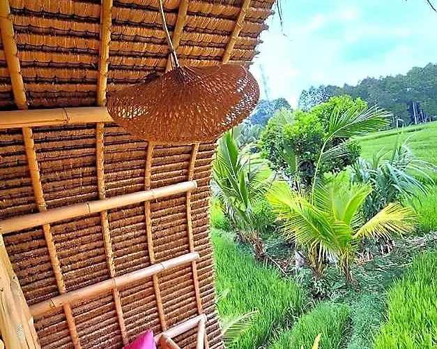 Camping Tiny Eco Bamboo Ubud *