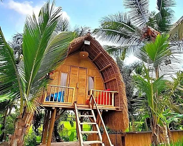 Tiny Eco Bamboo Ubud