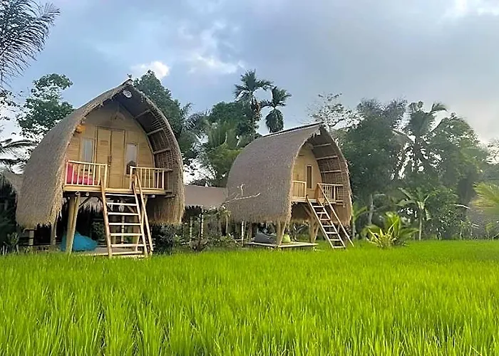 Tiny Eco Bamboo Ubud *