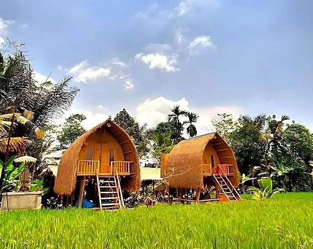 Tiny Eco Bamboo Ubud *