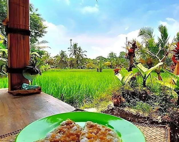 Tiny Eco Bamboo Ubud Camping Sebatu (Bali)