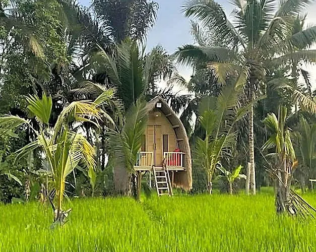 Tiny Eco Bamboo Ubud キャンプ場 Sebatu (Bali)
